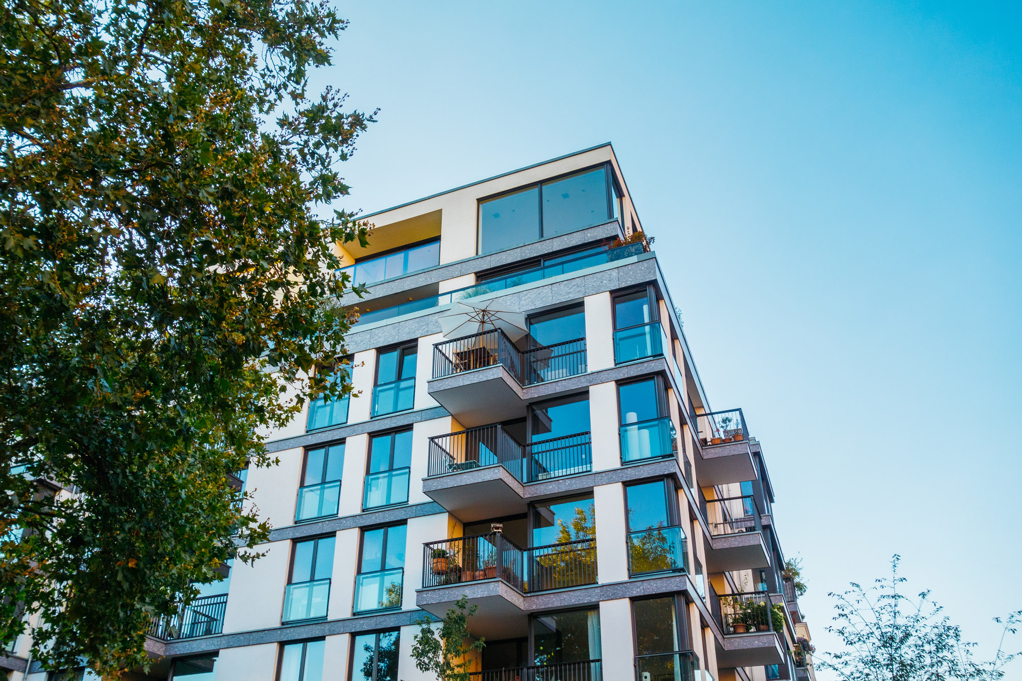 Immobilienmakler